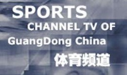 广东电视台直播在线观看,广东电视台精彩节目一览无遗