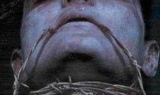 血屋在线观看,在线惊悚之旅，揭秘黑暗深处的恐怖真相